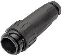 amphenol Rundstecker Stecker, gerade Serie (Rundsteckverbinder): C016 Gesamtpolzah