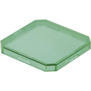 schlegel OKTRON TOKJFGN Toetskap Groen, Transparant 1 stuk(s)