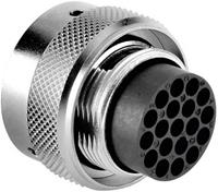 amphenol Rundstecker Stecker, gerade Serie (Rundsteckverbinder): RT360™ Gesamtpolzahl