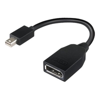 lenovo DisplayPort-adapter - Mini DisplayPort (M) naar DisplayPort (V) - 17.6 cm - voor ThinkPad T470s; ThinkStation P330; P330 (2nd Gen); P340; P520; P620