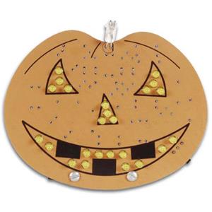 whadda WSSA145 Halloween pompoen Bouwpakket 9 V