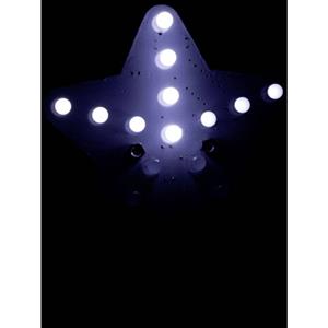 Witte Lichtster