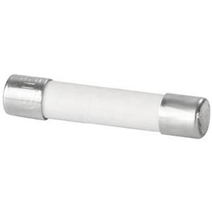 weidmüller G 25/4.00A/F BR Buiszekering Inhoud: 10 stuk(s)