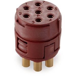 lappkabel EPIC SIGNAL M23 P Einsätze, 7-polig LAPP Inhalt: 5St.