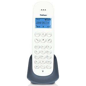 Profoon DECT telefoon PDX-300AE