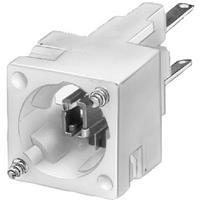 Siemens Lampenfassung Klar 60V DC/AC 1St.