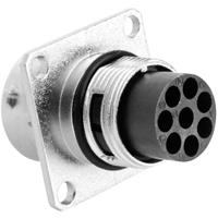 amphenol Rundstecker Stecker, gerade Serie (Rundsteckverbinder): RT360™ Gesamtpolzahl: