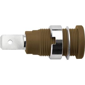 Schützinger DI SEB 6452 Ni / BR Sicherheits-Einbaubuchse Braun 1St.