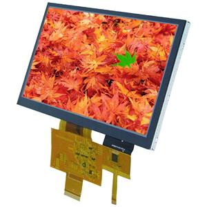 Electronic Assembly LC-display (b x h x d) 165 x 100 x 5.8 mm