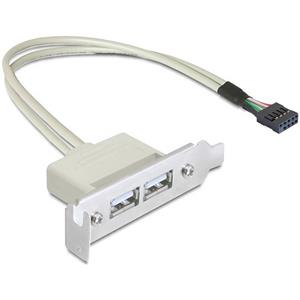 Delock Slot bracket USB 2.0 low profile