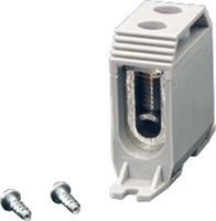 Hensel 4012591653257 Klemme Schrauben 1St.