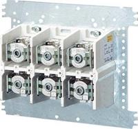 Hensel 4012591655503 Einspeiseklemme Schrauben Grau 1St.
