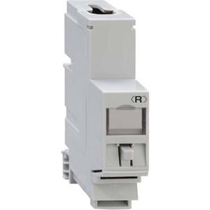 Rutenbeck UM-Cat.6A iso-REG REG-montageadapter UM-Cat.6A iso-REG 13910200 1 stuk(s)