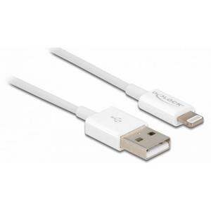 DeLOCK 83000 USB-kabel 1 m USB 2.0 USB A Wit