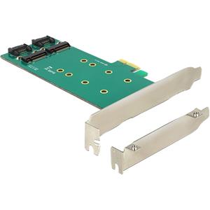 DeLOCK PCI Express Card > 2 x internal M.2 Key B 110 mm - Low Profile Form Factor