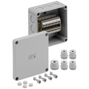 Spelsberg RK 4/12-12x4q Reihenklemmen-Gehäuse 130 x 130 x 75 Kunststoff Grau 1St.