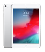 iPad Mini 5 4g 64gb-Zilver-Product bevat lichte gebruikerssporen