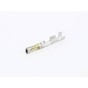 Molex SL 16020088 MOL Power & Signal Sol. Inhalt