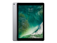 Apple iPad Pro 12.9 512GB WiFi + 4G Spacegrau (2017) | Ohne Kabel und Ladegerät