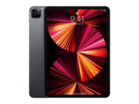 Apple iPad Pro 11 Zoll 128 GB WLAN Space Grau (2021)
