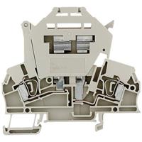 Weidmüller Sicherungs-Reihenklemmen - ZSI beige G20 ZSI 2.5/LD 250AC 1616410000-1 Beige 1St.