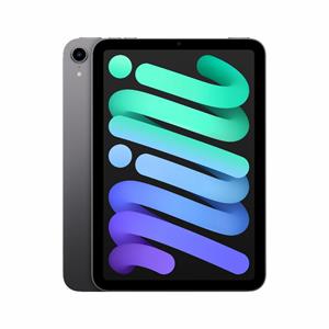 iPad mini (6e) Wi-Fi 64GB-Spacegrijs-Product bevat zichtbare gebruikerssporen