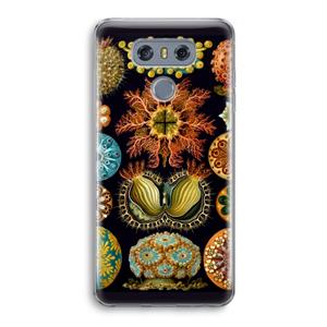 CaseCompany Haeckel Ascidiae: LG G6 Transparant Hoesje