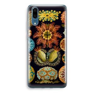CaseCompany Haeckel Ascidiae: Huawei P20 Transparant Hoesje