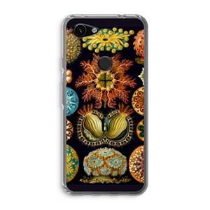 CaseCompany Haeckel Ascidiae: Google Pixel 3a Transparant Hoesje