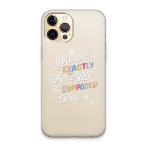 CaseCompany Right Place: iPhone 13 Pro Max Transparant Hoesje