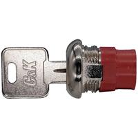 c&kswitches C & K Switches Y100132C203NGE Schlüsselschalter 125V 4A 1 x Ein/Ein/Ein 3 x 45° 1St.