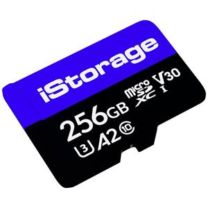 IStorage IS-MSD-1-256 microSD-Karte 256GB
