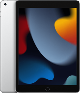 iPad 2021 256GB Wifi-Zilver-Product bevat lichte gebruikerssporen