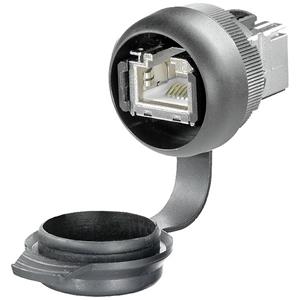 Weidmüller IE-FCM-RJ45-C-X-100 2742310000 Stecker Schwarz 100St.