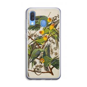 CaseCompany Carolinaparkiet: Samsung Galaxy A40 Transparant Hoesje