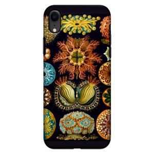 CaseCompany Haeckel Ascidiae: iPhone XR Tough Case