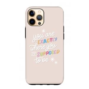 CaseCompany Right Place: iPhone 12 Pro Max Tough Case