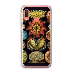 CaseCompany Haeckel Ascidiae: Samsung Galaxy A20e Transparant Hoesje