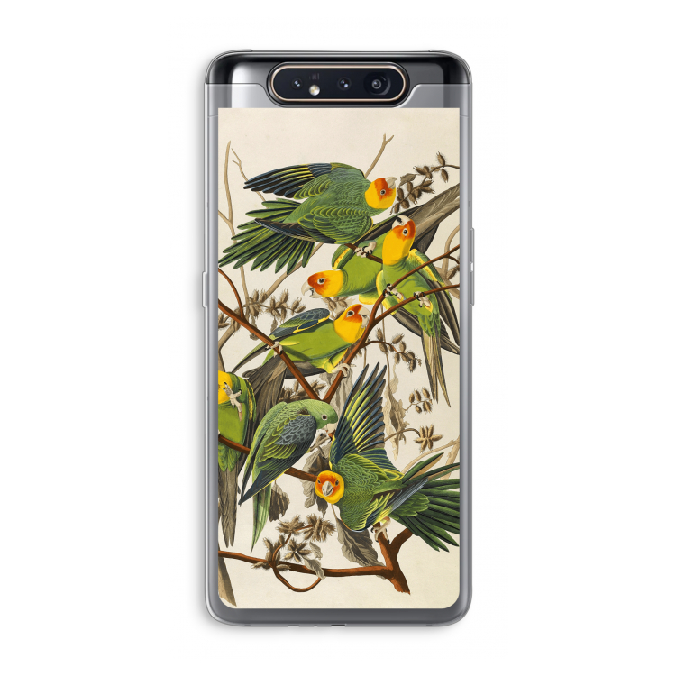 CaseCompany Carolinaparkiet: Samsung Galaxy A80 Transparant Hoesje