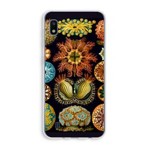 CaseCompany Haeckel Ascidiae: Samsung Galaxy A10 Transparant Hoesje