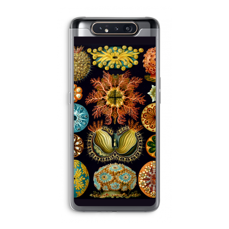 CaseCompany Haeckel Ascidiae: Samsung Galaxy A80 Transparant Hoesje