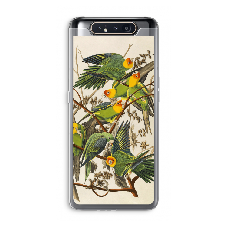 CaseCompany Carolinaparkiet: Samsung Galaxy A80 Transparant Hoesje