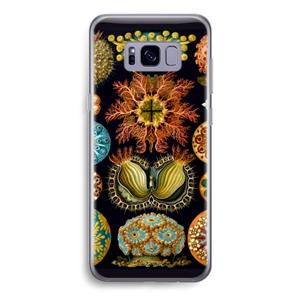 CaseCompany Haeckel Ascidiae: Samsung Galaxy S8 Transparant Hoesje