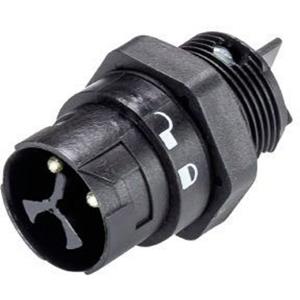 Wieland 46.032.5053.1 Rundstecker Stecker, Einbau Serie (Rundsteckverbinder): RST MINI Gesamtpolza