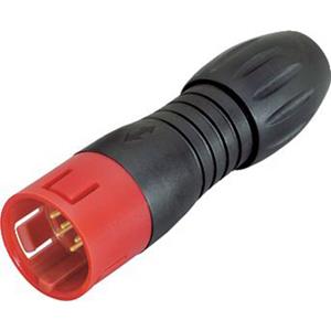Binder 99 9133 52 12 Kabelstecker Stecker, gerade Serie (Rundsteckverbinder): 720 Gesamtpolzahl: 12
