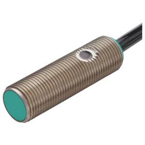 Pepperl+Fuchs Inductieve sensor NPN NJ2-12GM40-E1