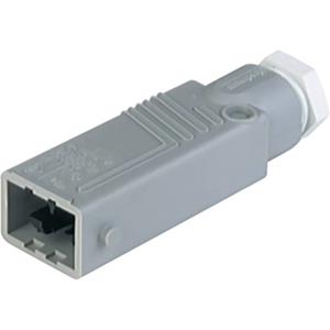 Hirschmann 931 692-106-200 Netz-Steckverbinder STAS Stecker, gerade Gesamtpolzahl: 5 + PE 6A Grau 20