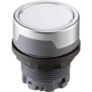 Schlegel RMCT Drucktaster beschriftbar Anthrazit 10St.