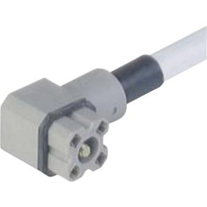 Hirschmann Steckverbinder für Steuerspannung der G-Serie Grau G 4KW 1 F 2M Pole:4 931 805-602-100 I