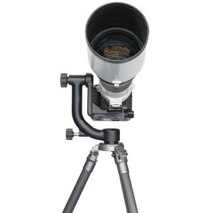 Wimberley WH-200 Head Version II